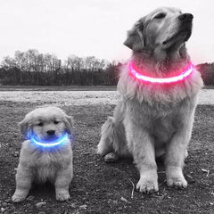 Colorful Collars For Dogs & Cats