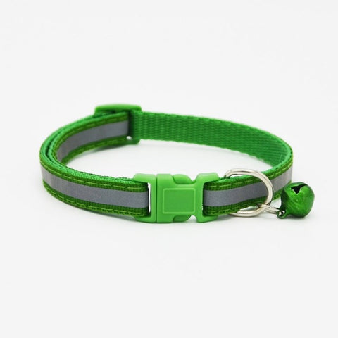 Colorful Collars For Dogs & Cats