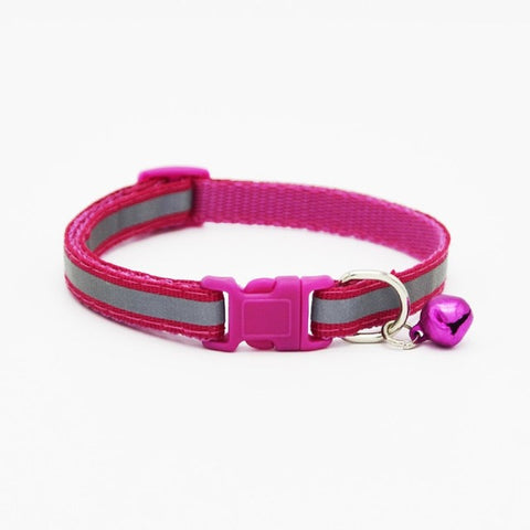 Colorful Collars For Dogs & Cats