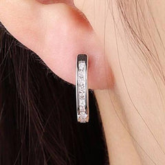 2 Color Lovely Earrings