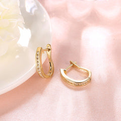 2 Color Lovely Earrings