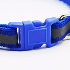 Colorful Collars For Dogs & Cats